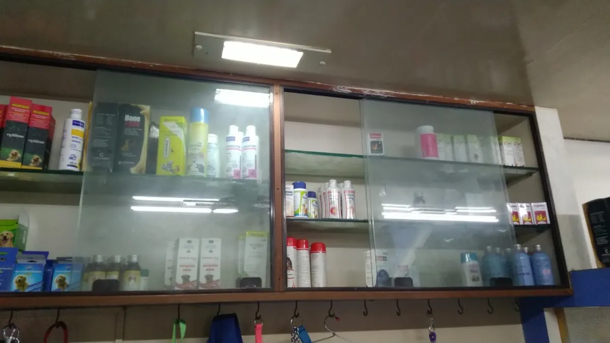 The clinic's well-stocked medicine and pet food shelves