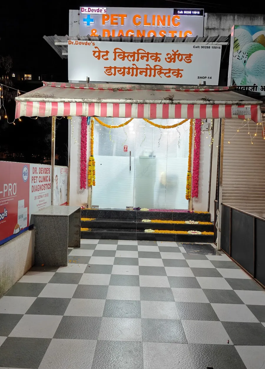The clinic storefront at night, with its orange sign, striped awning and marigold garlands